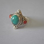 turquoise -coral (2)